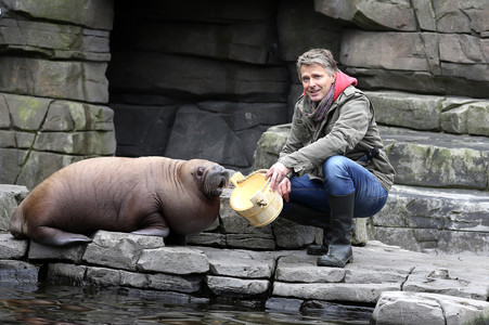 Jörg Pilawa tauft Walross in Hamburg