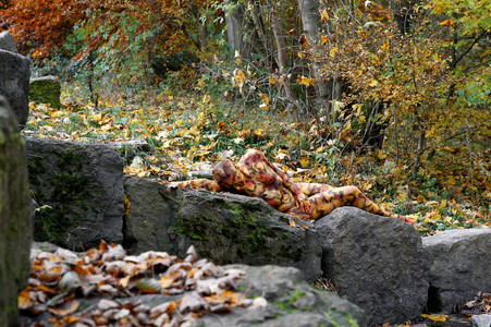 NATURE ART: Laubwald / Deciduous Forest Bodypainting