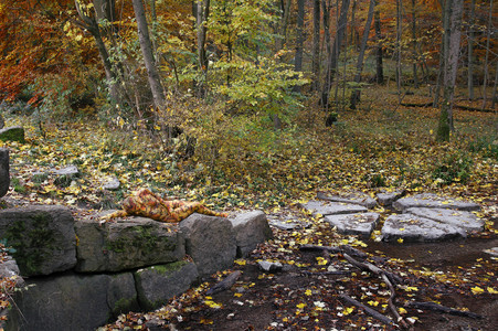 NATURE ART: Laubwald / Deciduous Forest Bodypainting