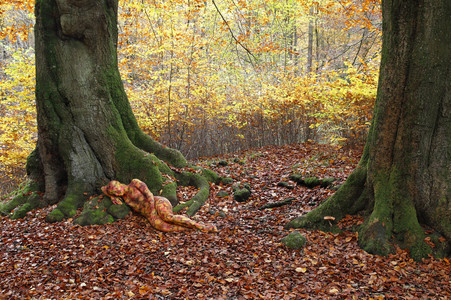 NATURE ART: Laubwald / Deciduous Forest Bodypainting