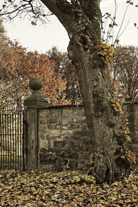 DOOR ART: Herbsttor / Autumn Gate Bodypainting