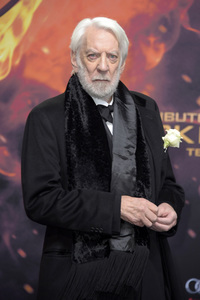 Filmpremiere 'Die Tribute von Panem - Mockingjay: Teil 2' in Berlin