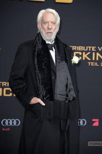 Filmpremiere 'Die Tribute von Panem - Mockingjay: Teil 2' in Berlin