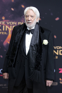 Filmpremiere 'Die Tribute von Panem - Mockingjay: Teil 2' in Berlin