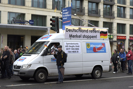 AfD Demo in Berlin