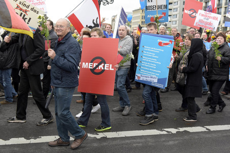 AfD Demo in Berlin
