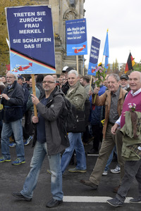 AfD Demo in Berlin