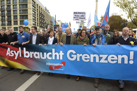 AfD Demo in Berlin