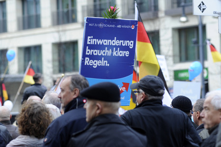 AfD Demo in Berlin
