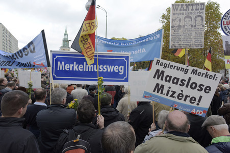 AfD Demo in Berlin