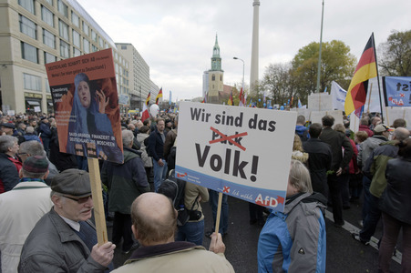 AfD Demo in Berlin