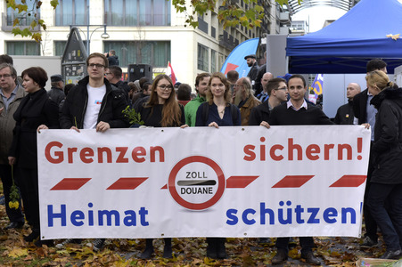AfD Demo in Berlin