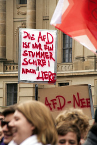 AfD Gegendemo in Berlin