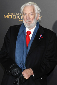Filmpremiere 'Die Tribute von Panem - Mockingjay: Teil 2' in Los Angeles