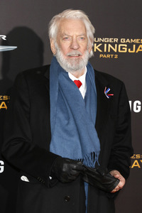 Filmpremiere 'Die Tribute von Panem - Mockingjay: Teil 2' in Los Angeles