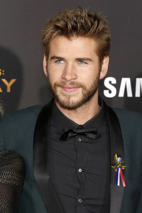 Filmpremiere 'Die Tribute von Panem - Mockingjay: Teil 2' in Los Angeles