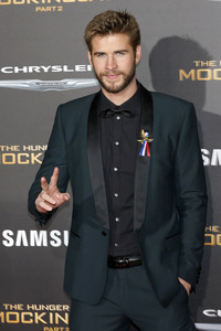 Filmpremiere 'Die Tribute von Panem - Mockingjay: Teil 2' in Los Angeles