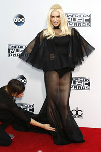 American Music Awards 2015