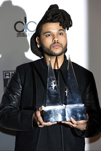 American Music Awards 2015