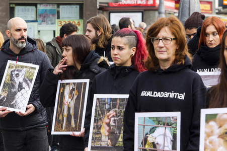 Day of Animal Rights in Madrid