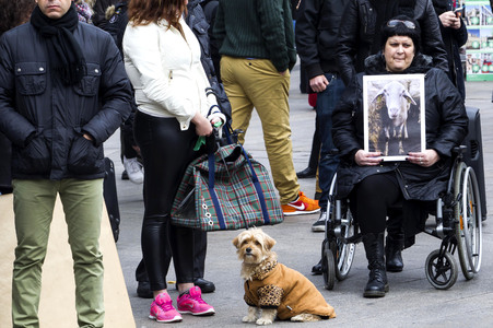 Day of Animal Rights in Madrid