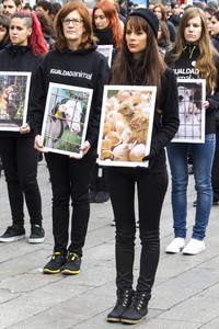 Day of Animal Rights in Madrid