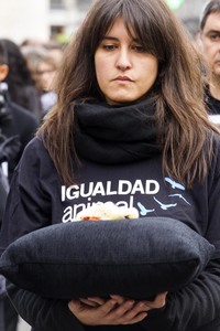 Day of Animal Rights in Madrid