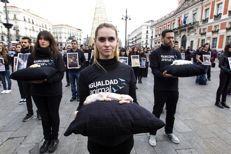 Day of Animal Rights in Madrid
