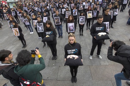 Day of Animal Rights in Madrid