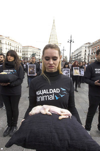 Day of Animal Rights in Madrid