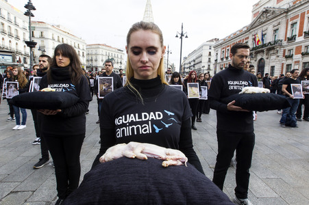 Day of Animal Rights in Madrid