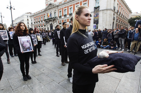 Day of Animal Rights in Madrid