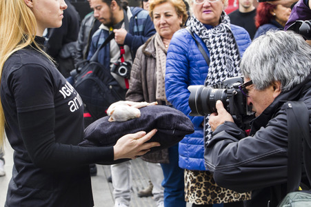 Day of Animal Rights in Madrid
