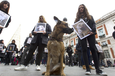 Day of Animal Rights in Madrid