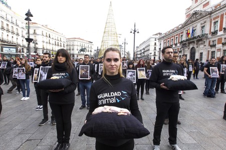 Day of Animal Rights in Madrid