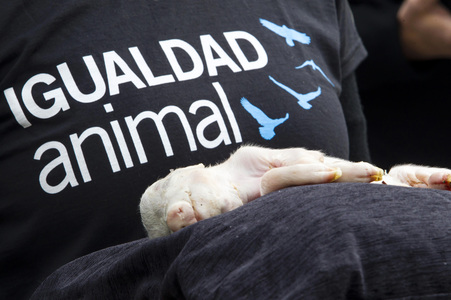 Day of Animal Rights in Madrid