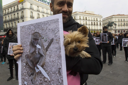 Day of Animal Rights in Madrid