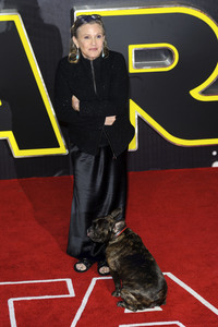Filmpremiere 'Star Wars: Das Erwachen der Macht' in London