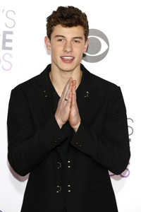 People's Choice Awards 2016 in Los Angeles