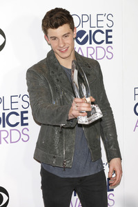 People's Choice Awards 2016 in Los Angeles