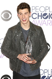 People's Choice Awards 2016 in Los Angeles
