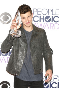 People's Choice Awards 2016 in Los Angeles