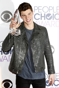 People's Choice Awards 2016 in Los Angeles