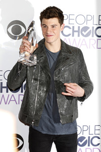 People's Choice Awards 2016 in Los Angeles