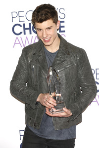People's Choice Awards 2016 in Los Angeles