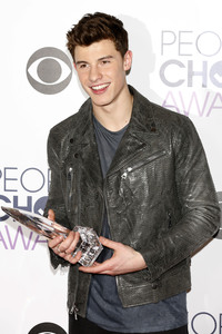People's Choice Awards 2016 in Los Angeles