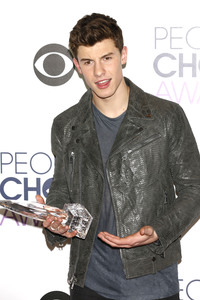 People's Choice Awards 2016 in Los Angeles