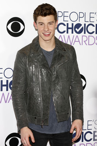 People's Choice Awards 2016 in Los Angeles