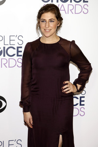 People's Choice Awards 2016 in Los Angeles