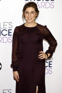 People's Choice Awards 2016 in Los Angeles